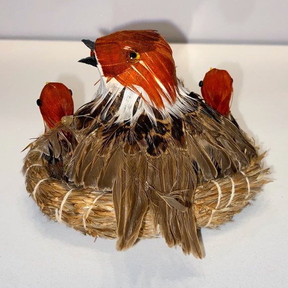 Bird in Nest Display Babies and Mother Feathers Decor Nature Wildlife Ornament - Picture 2 of 5